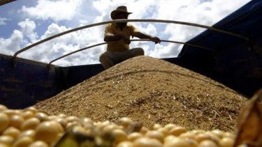 Estiman una cosecha récord para la soja brasileña en 2022/23