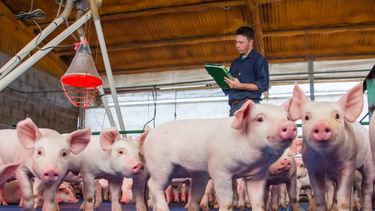 Las medidas apuntan a mitigar el incremento de los costos de alimentación del rubro.