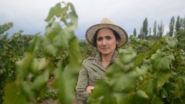 Premian a argentina por su trabajo preservando antiguas vides de Malbec