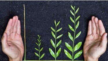 IndicAgro: ¿Cómo saber si tu negocio es sustentable?