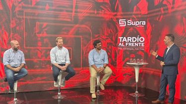 Los expertos en la materia.