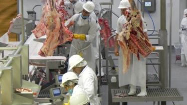 La faena de bovinos aumentó un 7 por ciento en 2017