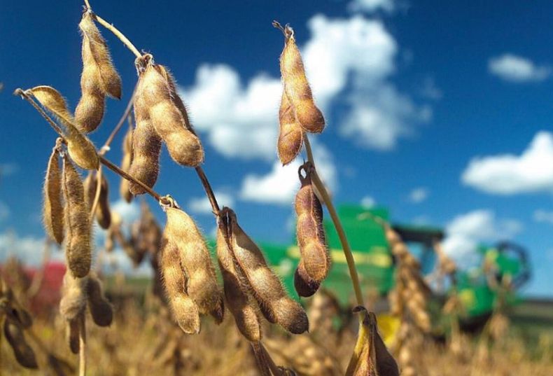 La cosecha agrícola nacional superaría las 100 millones toneladas