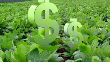 Las transferencias del Fondo Sojero cayeron un 25 por ciento durante agosto