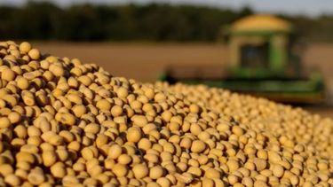 La soja cortó la racha alcista en Chicago