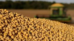 La soja cambió de cambió de signo y cortó la buena racha en Chicago