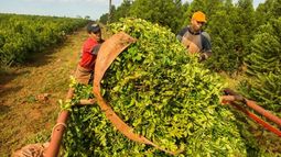 El impulso para un sector en crisis.