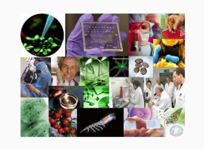 Industrias locales recibirán más información sobre microbiología