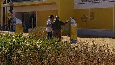 Syngenta compró Nidera Semillas para expandirse en Argentina y Brasil