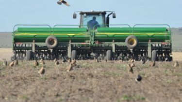 Cerró con éxito la siembra más ambiciosa de trigo
