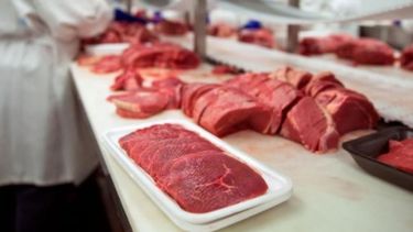 Reclaman políticas de largo plazo para el sector cárnico