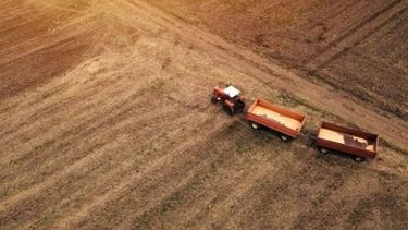 Soluciones innovadoras a cuatro problemas actuales del sector agropecuario