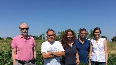 Crean variedad de soja que servirá para aumentar la producción