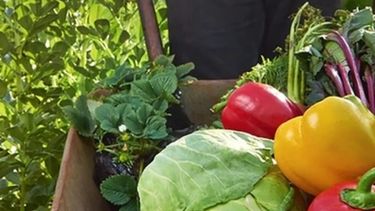 Se acaba el tiempo para actualizar datos del Monotributo Social Agropecuario