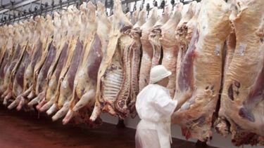 La faena de ganado cayó cerca de un 7% en el primer semestre