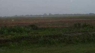 Las lluvias demorarán aun más la siembra de maíz en EE.UU.