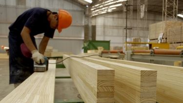 Los números detrás de la producción de madera en Argentina