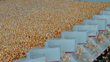 La cosecha de maíz ya llegó a 18,1 millones de toneladas