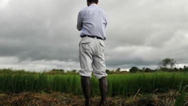 Cómo será el escenario impositivo para el agro en 2018