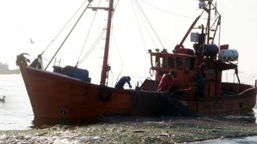 Cupos de captura para la pesca en zona compartida con Uruguay