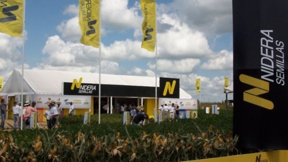 Nidera Semillas vendió el portfolio global de sorgo
