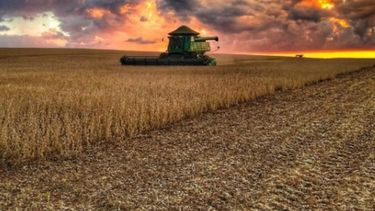 Esperan una cosecha récord de 143 millones de toneladas