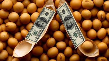 Dicen que eliminar todas las retenciones extrapampeanas sólo implicaría U$S 170 millones