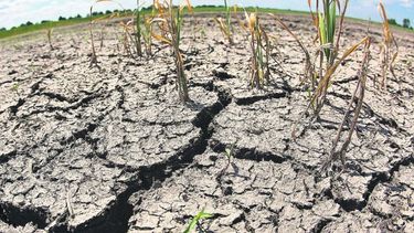 Sequía en San Luis.