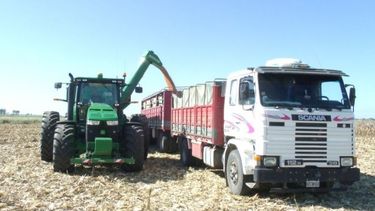 Las variables más significativas del transporte automotor de cargas.