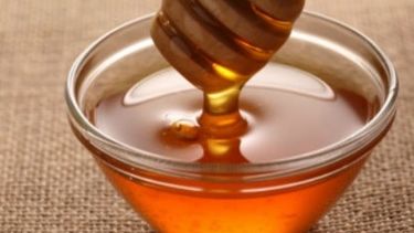 Declaran de Interés provincial bonaerense al consumo de miel