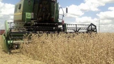 Vence el plazo para presentar declaraciones juradas del agro