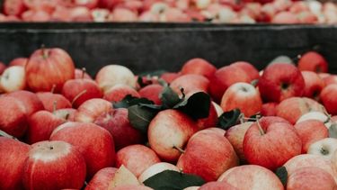 Nación busca un mayor rol para las PYMES agroalimentarias