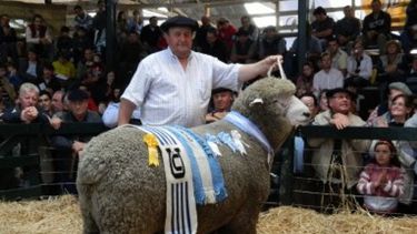 La Rural de Palermo fue la sede del XV Congreso Mundial de Corriedale