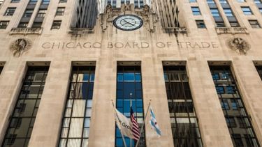 La soja y el maíz bajaron más de 7 dólares en Chicago