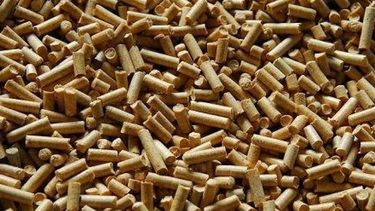 Crece la producción de aceites y pellets de soja