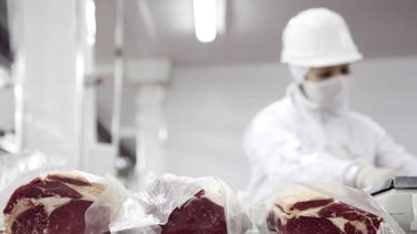 Piden cancelar la obligación de cumplir con el nuevo sistema de carne
