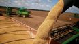 El perfil internacional del agro argentino. El perfil internacional del agro argentino.