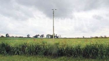 Pronostican más humedad y precipitaciones para el área agrícola