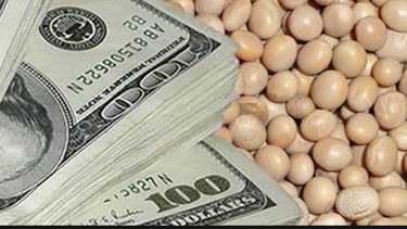 Brasil volcará 70.537 millones de dólares en la producción agropecuaria