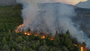 Declaran situación de "emergencia" por los incendios forestales