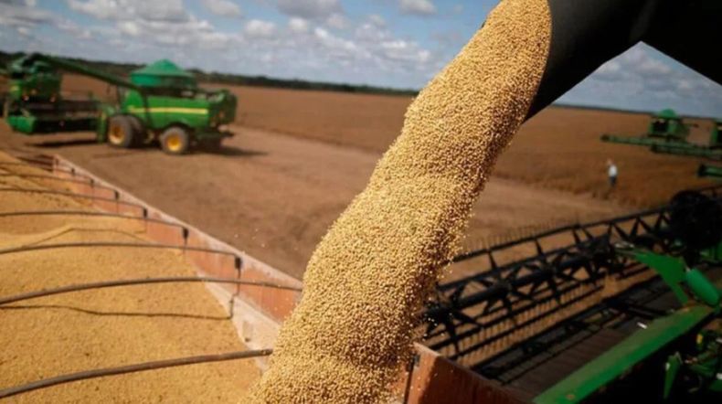 La cosecha de un producto clave para el campo argentino.