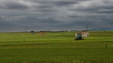 Anticipan que a la Zona Núcleo del agro le faltarán lluvias