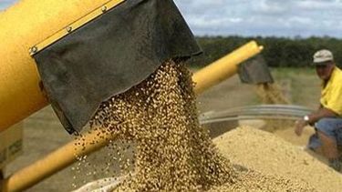 Suben los aportes gubernamentales para pequeños productores agrarios