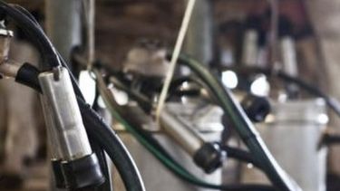 Se profundiza la crisis en el sector lechero