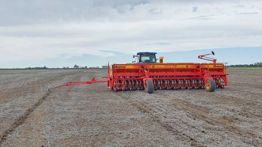 Progresó la siembra de trigo santafesina por buenas condiciones climáticas