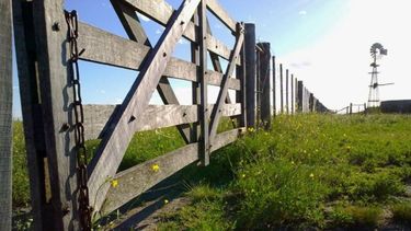 En agosto se profundizó el retroceso de la actividad inmobiliaria rural