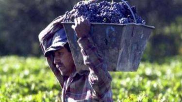 Coninagro volvió a advertir sobre la crisis de las economías regionales