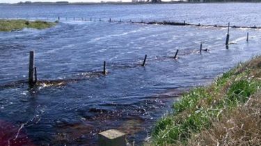 Declararon en estado de emergencia agropecuaria a partidos bonaerenses