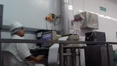 El 90% de frigoríficos porcinos tiene control electrónico de faena