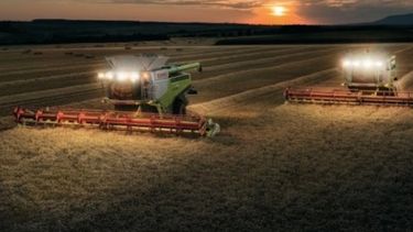 Grandes productores van en busca de emprendedores